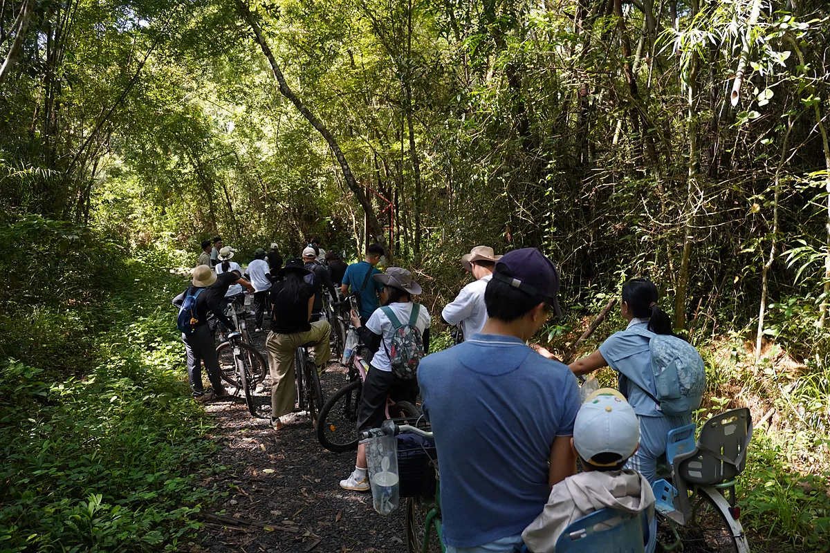CommonWorks team: cycling through the forest